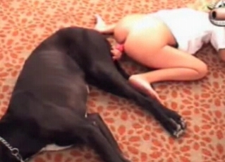 Big-ass slut rides a massive dog dick