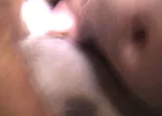Hairy asshole dude gets a rimjob from a dog