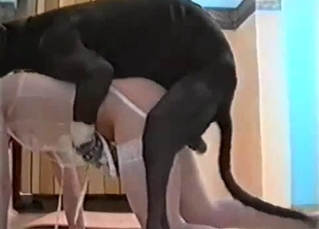 White stockings amateur fucks a mutt