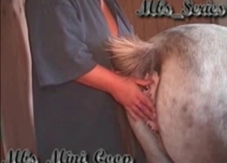 Sexy zoophile takes care of a hot pony