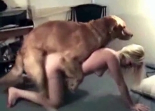 Trained sweet dog fucks my lusty wife